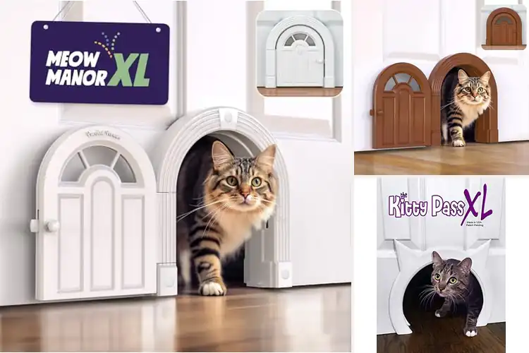 Detailed view of Best Cat Door For Cats Up To 30 Lbs