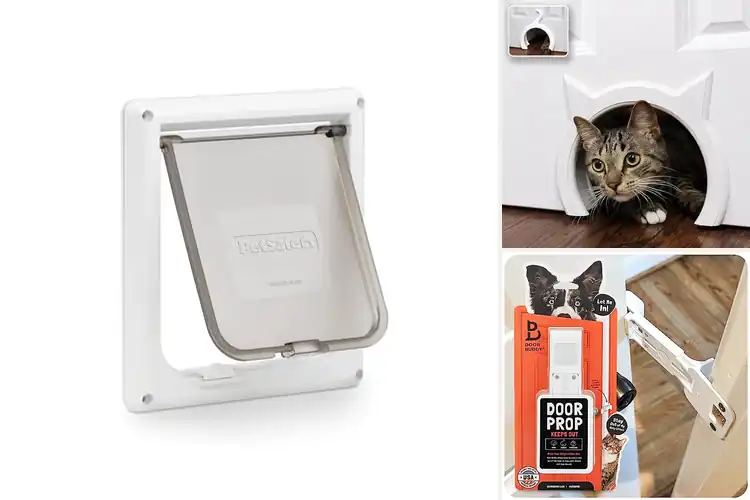 Detailed view of Best Cat Door For Litter Box Access