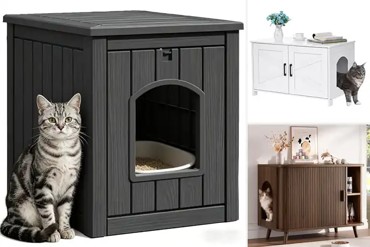 Detailed view of Best Cat Doors For Litter Box Enclosures