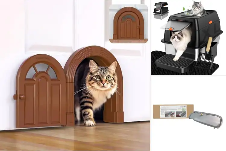 Detailed view of Best Cat Doors For Odor Control