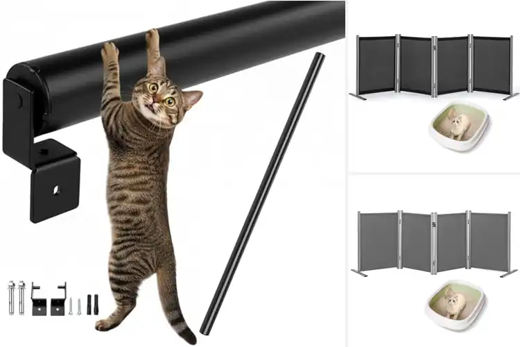 Detailed view of Best Cat Privacy Solutions
