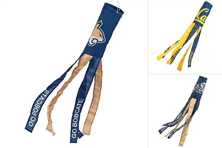 Detailed view of Best College Team Spirit Windsocks: Show Your Pride in Style