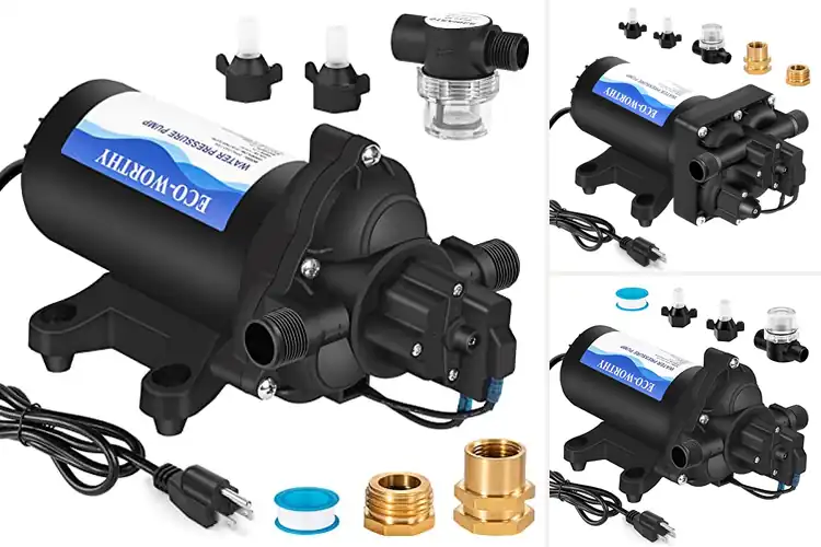 Detailed view of Best Diaphragm Water Pumps