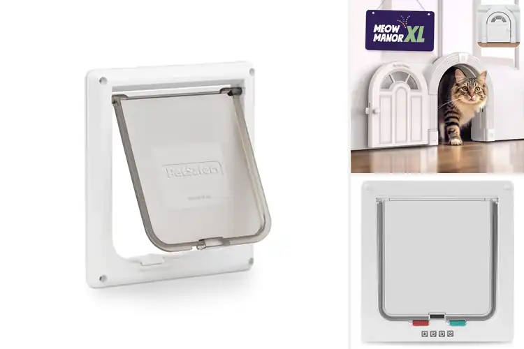 Detailed view of Best DIY Cat Door Installation: Pet Freedom