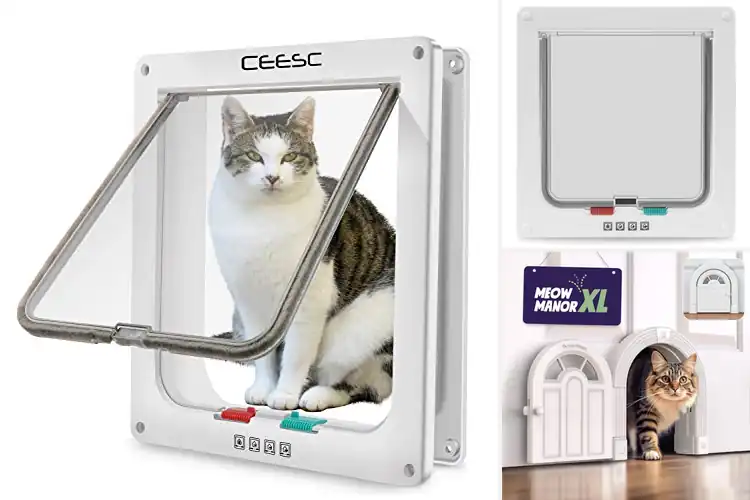 Detailed view of Best DIY Cat Doors