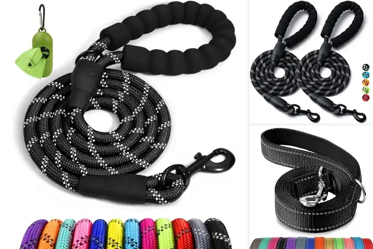 Detailed view of Best Dog Leashes: Expert Tips for the Perfect Walk