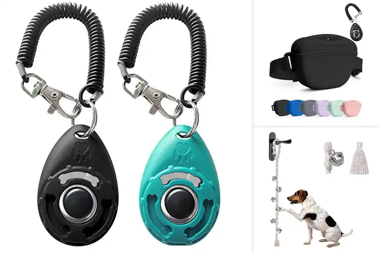 Detailed view of Best Dog Training Accessories