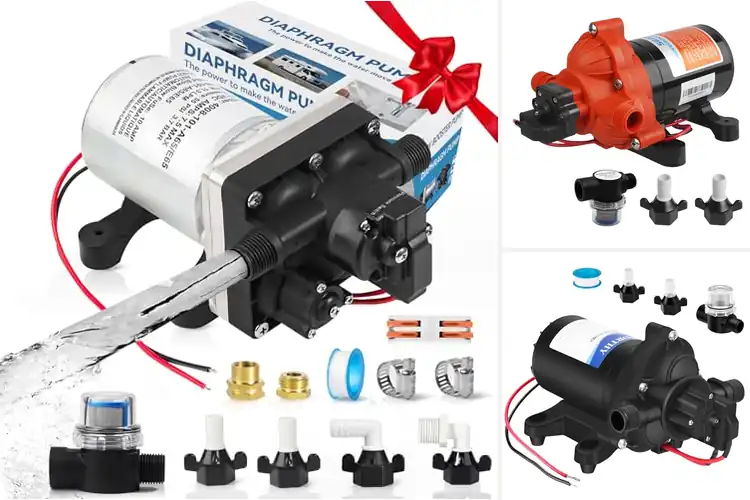 Detailed view of Best Dry Run Safe RV Water Pump