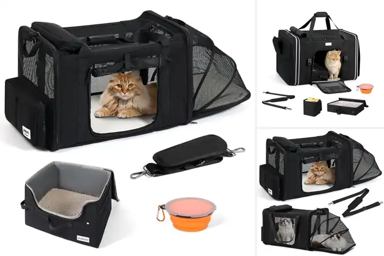 Detailed view of Best For Cats Up To Thirty Pounds