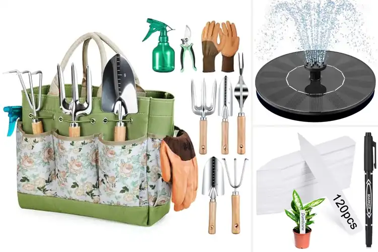 Detailed view of Best Garden Items
