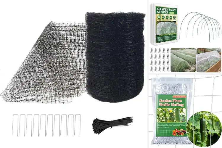 Detailed view of Best Garden Nettings: Ultimate Guide to Protect Your Plants