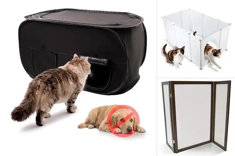 Detailed view of Best Litter Box Privacy Solutions