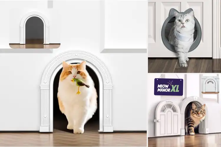 Detailed view of Best No-Flap Cat Doors