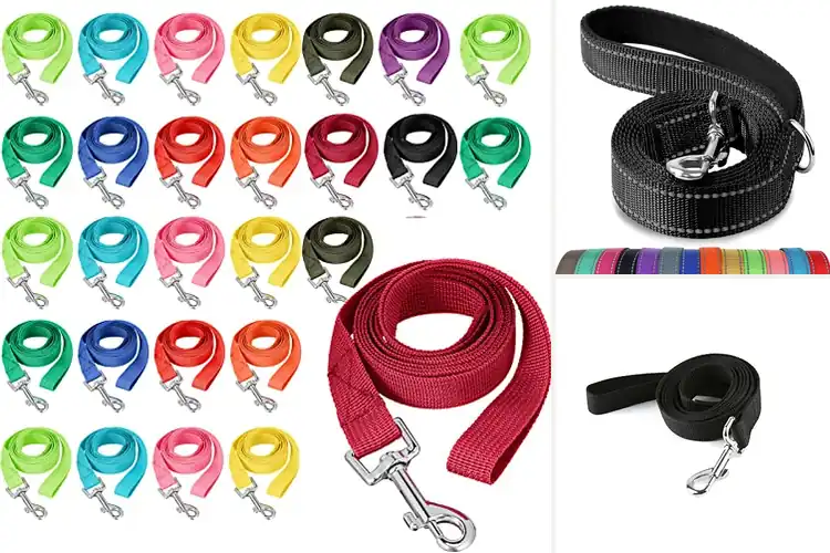Detailed view of Best Nylon Dog Leashes: Top 10 Picks for Safe & Fun Walks