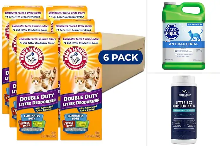 Detailed view of Best Odor Containing Cat Litter Space Solution