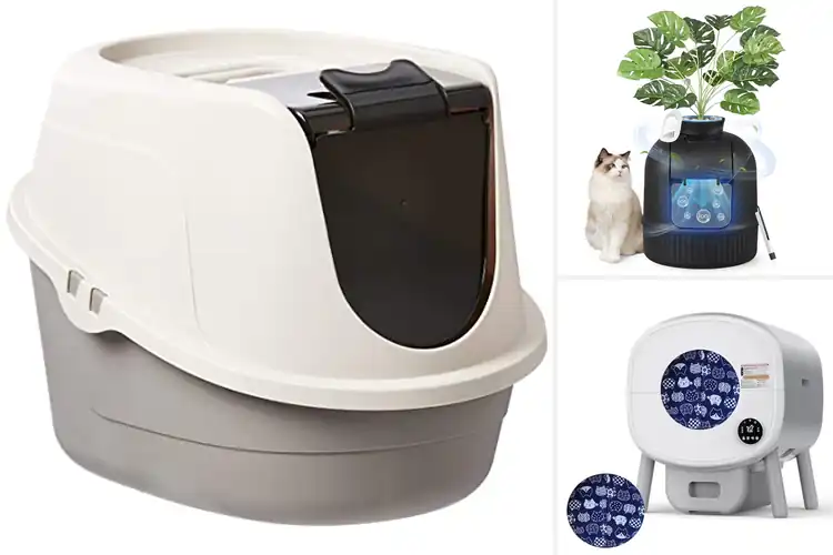 Detailed view of Best Odor Control Cat Doors