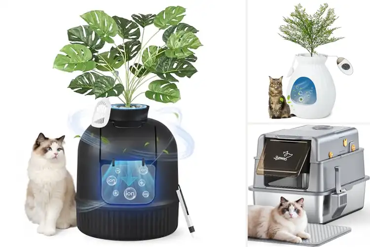 Detailed view of Best Odor Controlling Cat Doors: 6 Fresh Picks for Your Home
