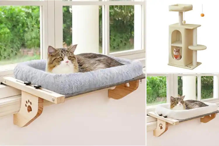 Detailed view of Best Plush Cat Perches: Top 10 Cozy Picks for Your Feline