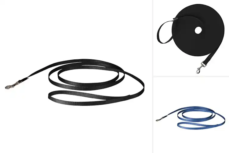 Detailed view of Best Puppy Training Leashes