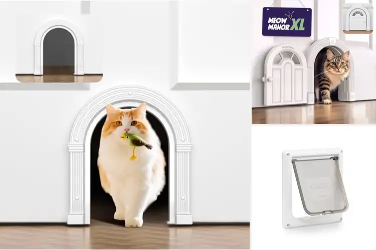 Detailed view of Best Safe Haven Cat Doors: Freedom, Safety, Style, No Hassle