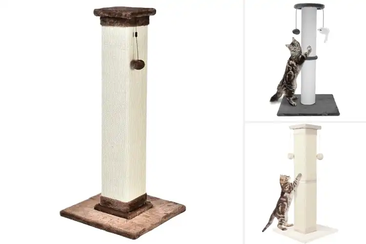 Detailed view of Best Sturdy Cat Scratching Posts