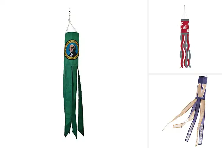 Detailed view of Best Washington State Windsock